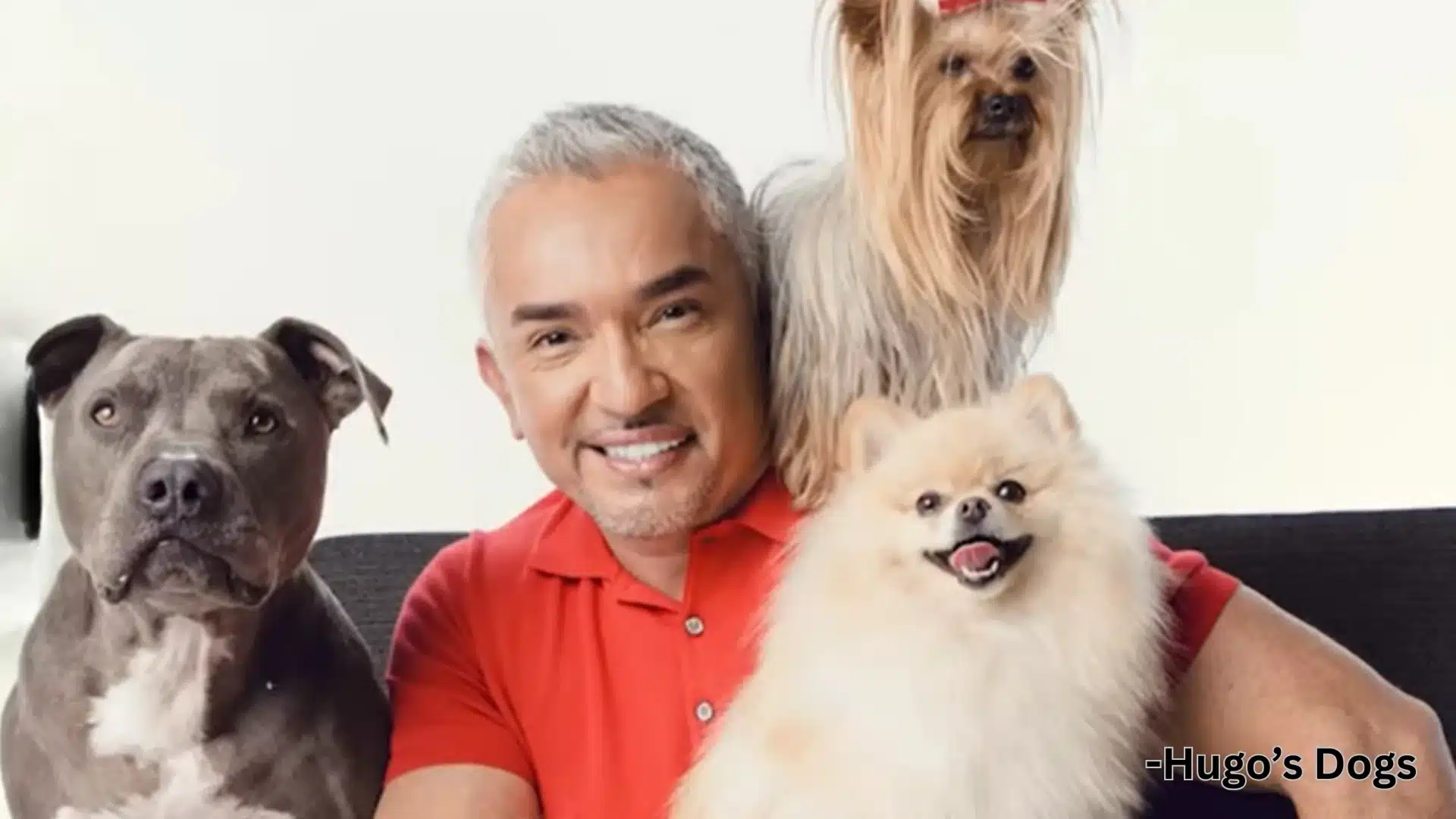 Cesar Millan smiling while sitting on a couch with three dogs, including a gray pit bull, a fluffy Pomeranian, and a Yorkshire terrier with a red bow