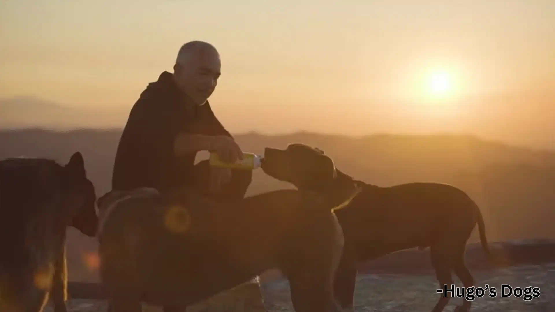 Man crouching outdoors at sunset, feeding water from a bottle to several large dogs with mountains in the background.