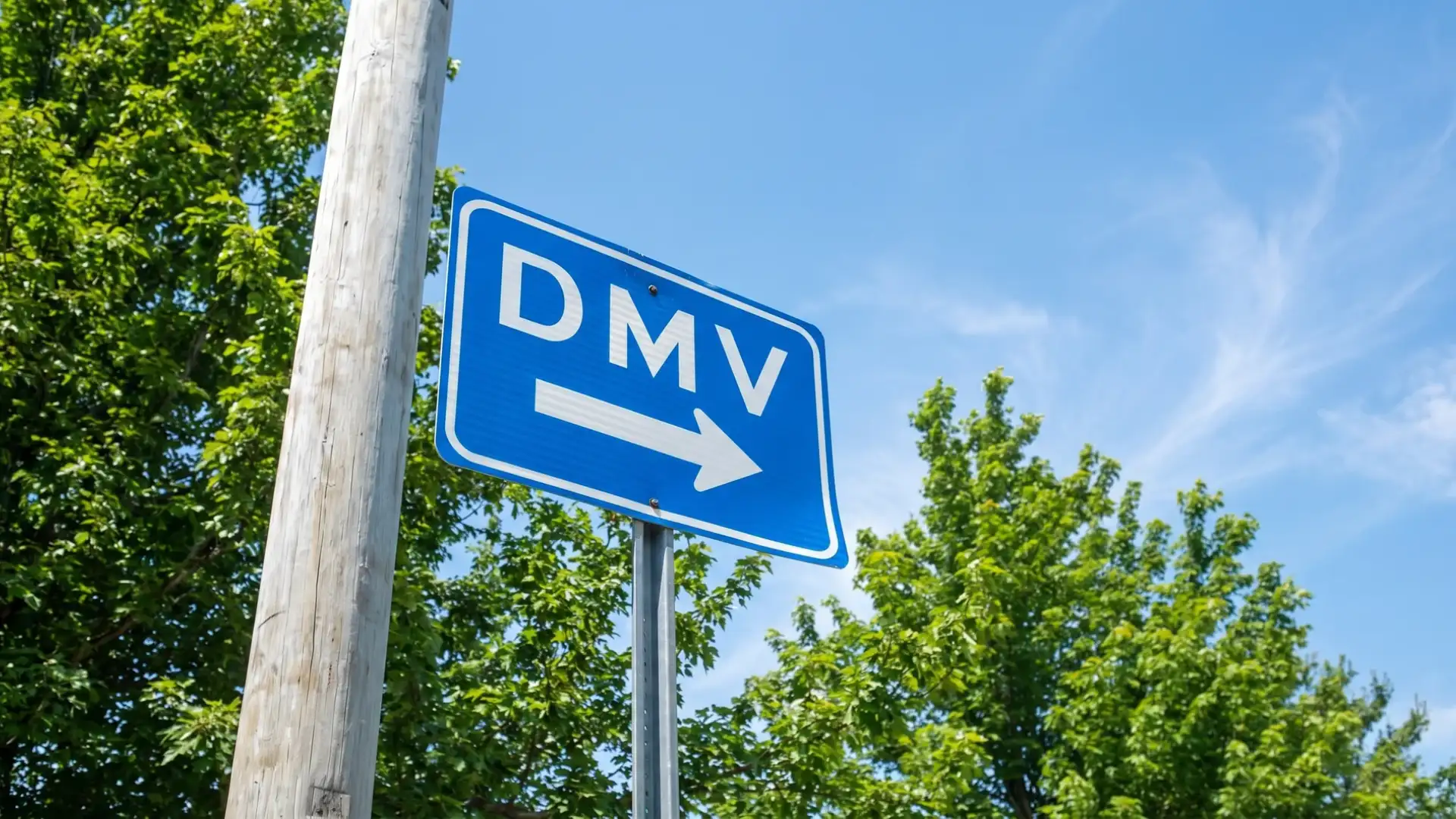 Blue DMV road sign with arrow pointing direction, mounted on pole with trees and clear sky background