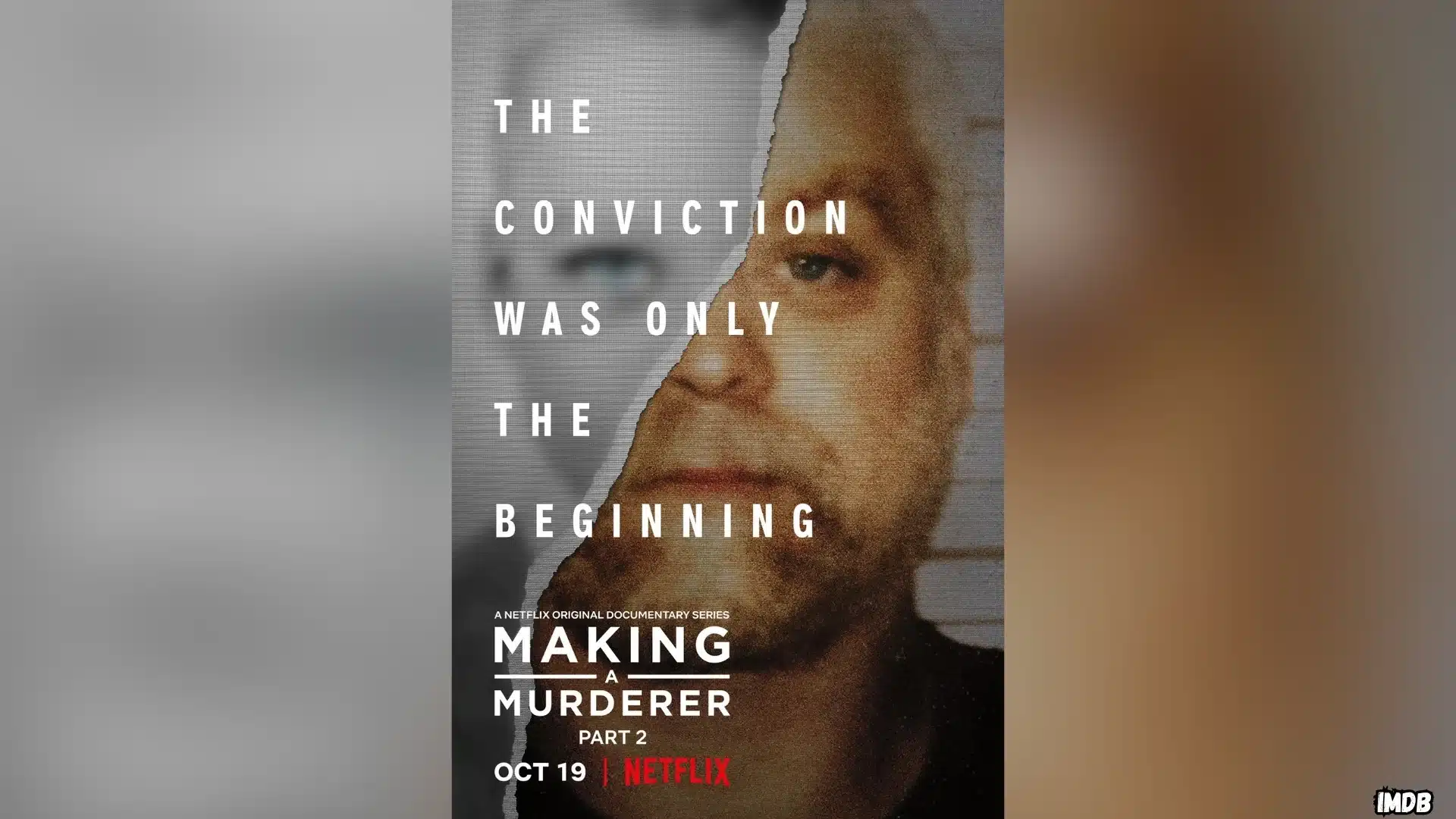 Making a Murderer Part 2 poster featuring Steven Avery and the Netflix true crime documentary series
