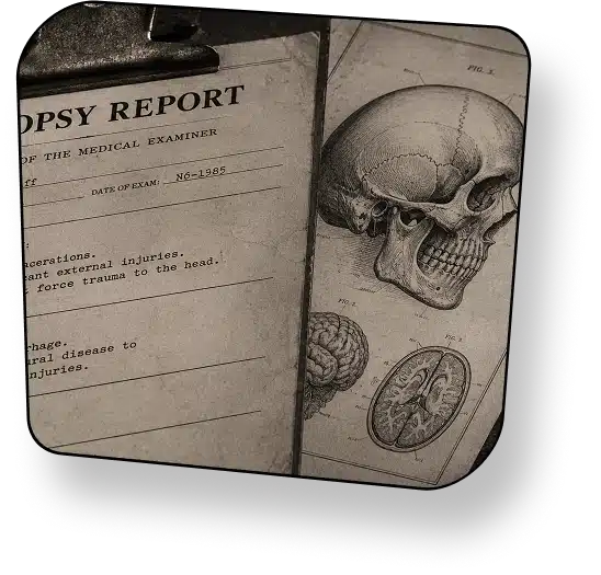 Initial Investigation