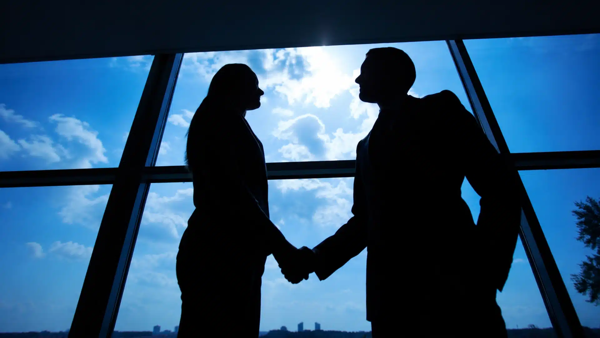 Two professionals shake hands beside office windows after forming a licensed PLLC